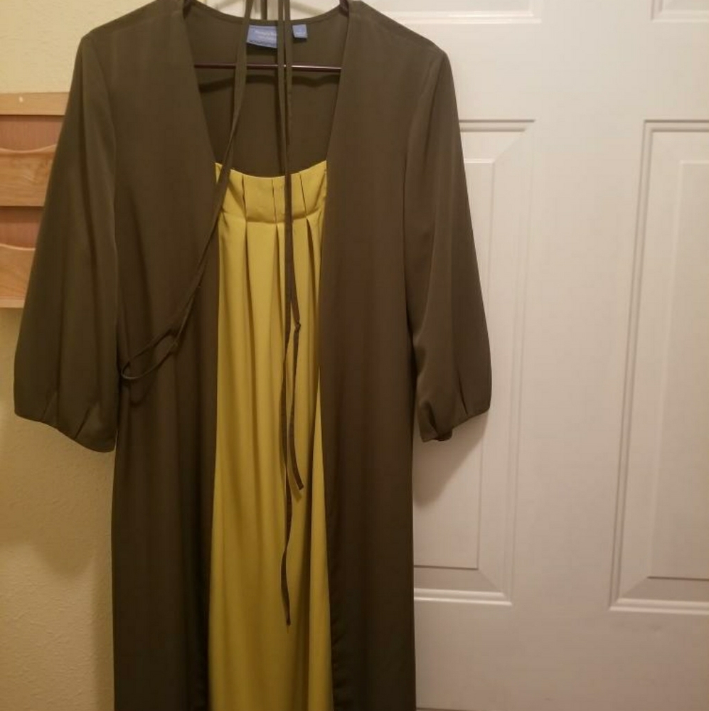 Simply Vera Vera Wang dress